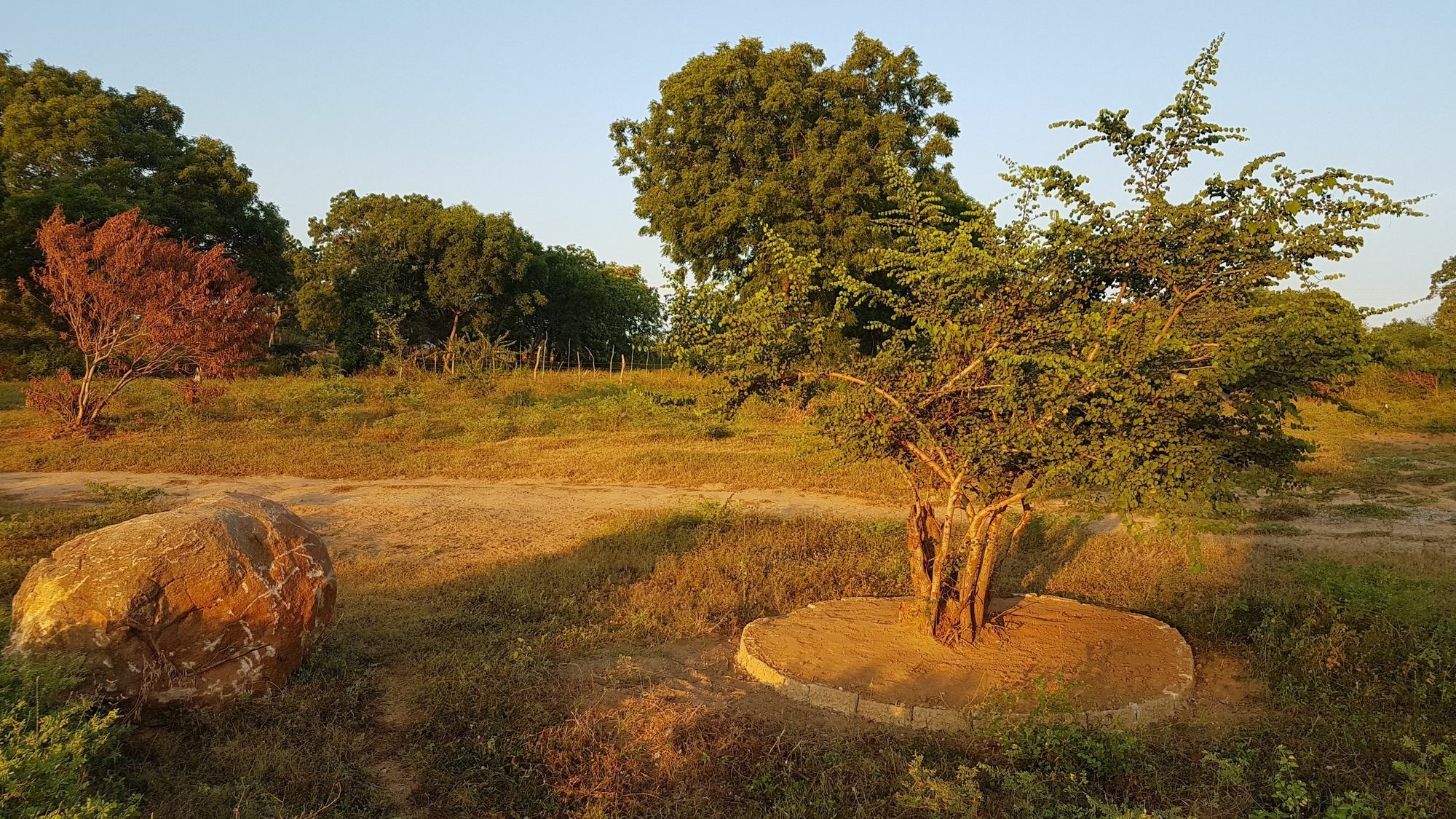 Wild Panthera Yala Tissamaharama Exterior foto